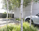 IMG 7576