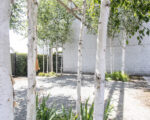 IMG 7583