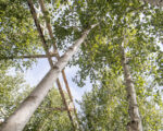 IMG 7599