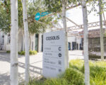 IMG 7619