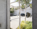 IMG 7625