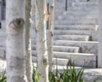 IMG 7654