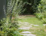 IMG 8172