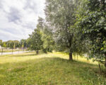 IMG 7141