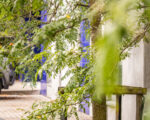 IMG 7180