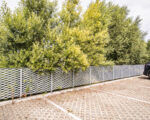 IMG 7193