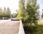 IMG 7195