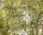 IMG 7234