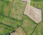 DJI 0304