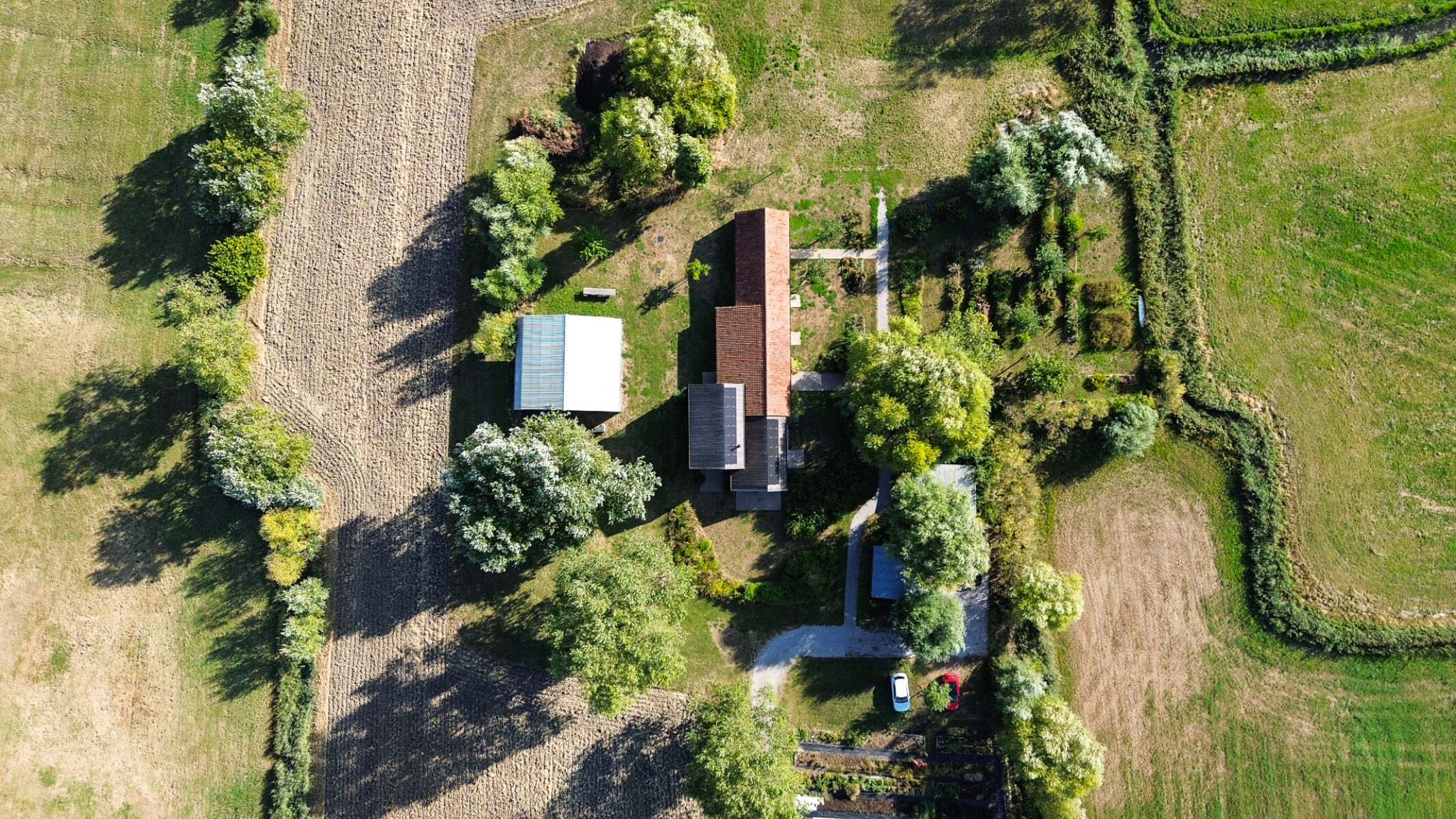 DJI 0314