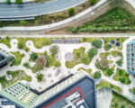 DJI 0445