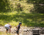 IMG 2753